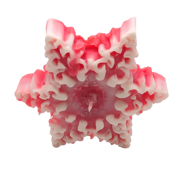 Soy Wax Christmas Candle Set of 3