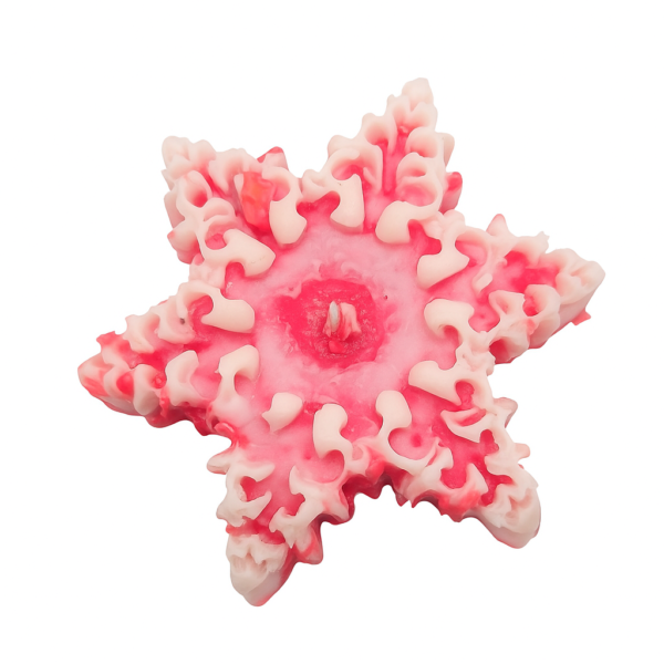 Soy Wax Christmas Candle Set of 3