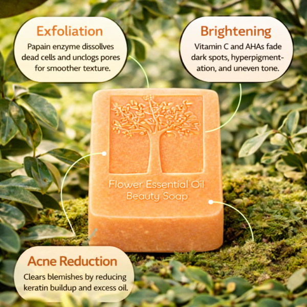 Papaya Milk Handmade Soap Set of 4 (120g Bars )