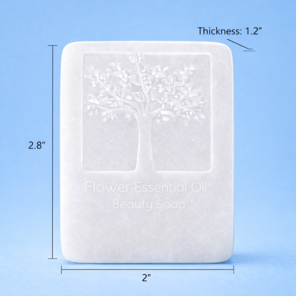 Natural Alovera Soap Handmade Soap Set of 4 (120g Bars)