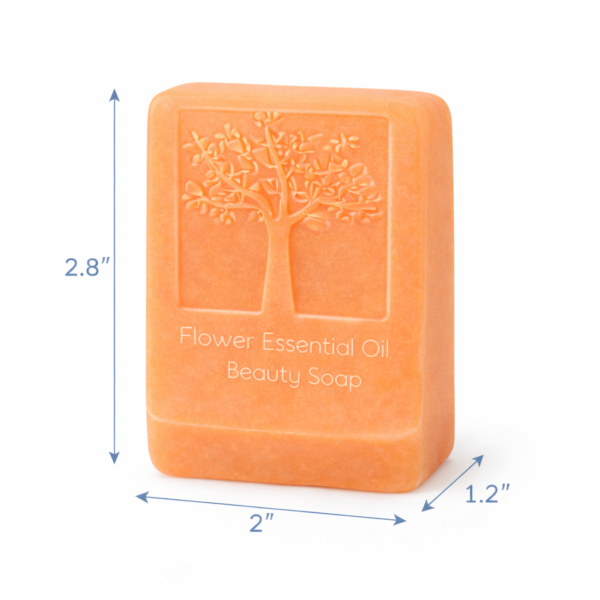 Papaya Milk Handmade Soap Set of 4 (120g Bars )