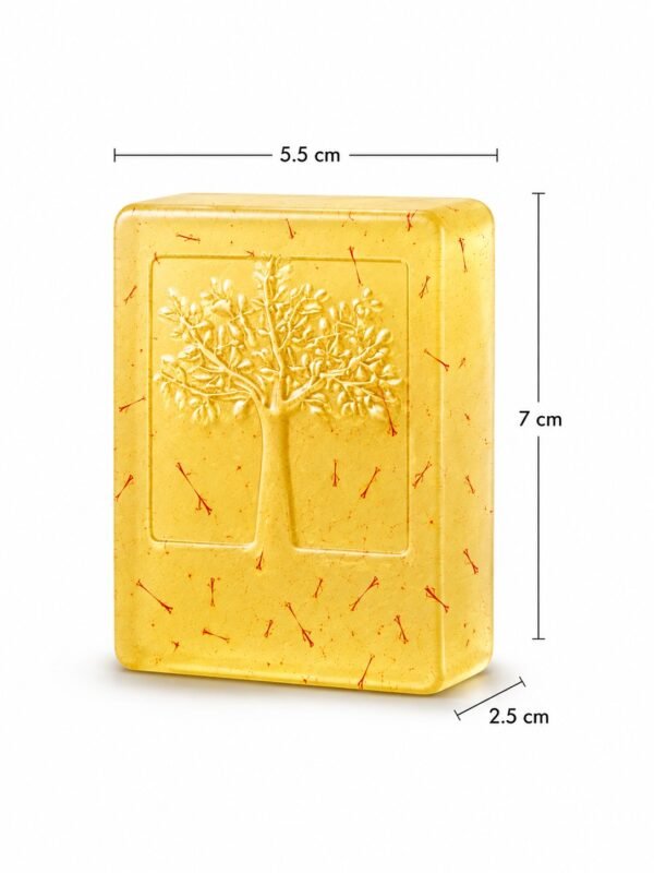 WhatsApp Image 2026-09-13 at 5.08.00 PM TSUBAKI Kesar Chandan Premium Soap – 120 gm